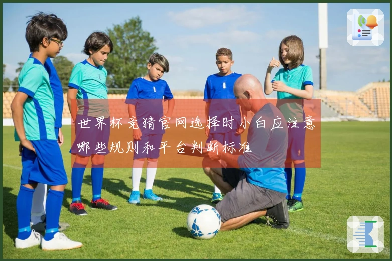世界杯竞猜官网选择时小白应注意哪些规则和平台判断标准