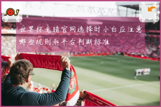 世界杯竞猜官网选择时小白应注意哪些规则和平台判断标准