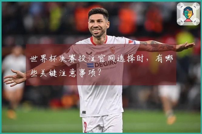 世界杯决赛投注官网选择时，有哪些关键注意事项？