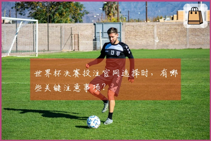 世界杯决赛投注官网选择时，有哪些关键注意事项？