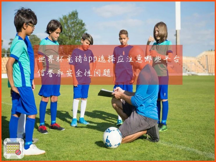 世界杯竞猜app选择应注意哪些平台信誉和安全性问题