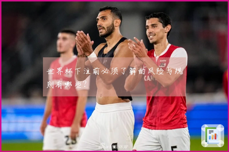 世界杯下注前必须了解的风险与规则有哪些？